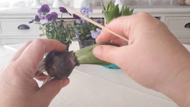 весенний DIY - декор из живых цветов? ...Spring Room Decor смотреть онлайн