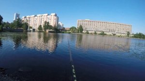 ? Короткая рыбалка в Галерной гаване.  Проверка водоема. ?