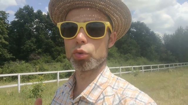 Как приживается грецкий орех после посадки