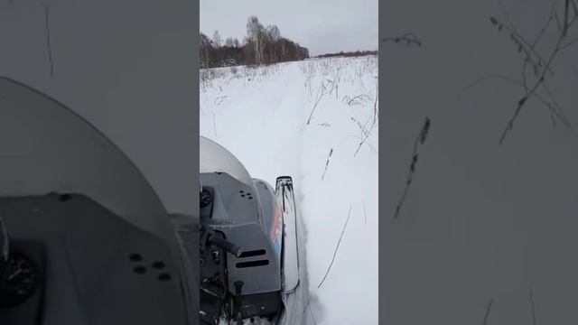 Прогулка на снегоходе Рысь 440. смотреть онлайн