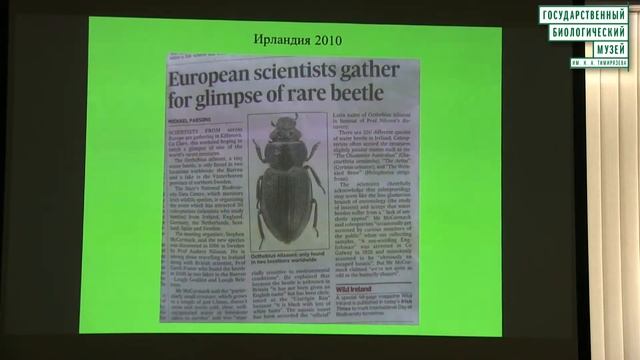 Жуки плавунцы смотреть онлайн