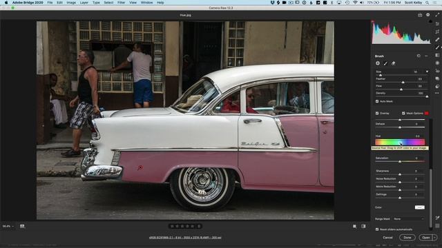 2270820-08 - Local Hue Adjustment - Mastering the New Camera Raw Environment
