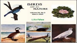 Birds and All Nature, Vol. VII, No.3, March 1900 | Various | Nature | Book | English | 2/2