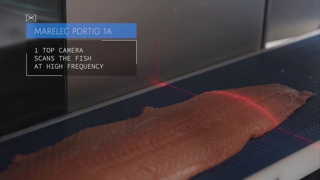 Машина Marelec PORTIO 1A для порционной нарезки филе рыбы под углом на порции с фикс. весом смотреть онлайн