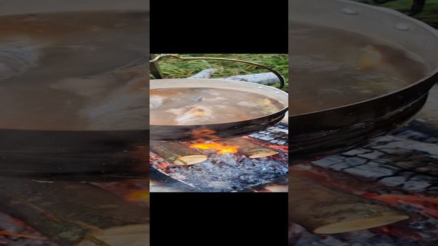 Уха на костре #уха #уханакостре смотреть онлайн