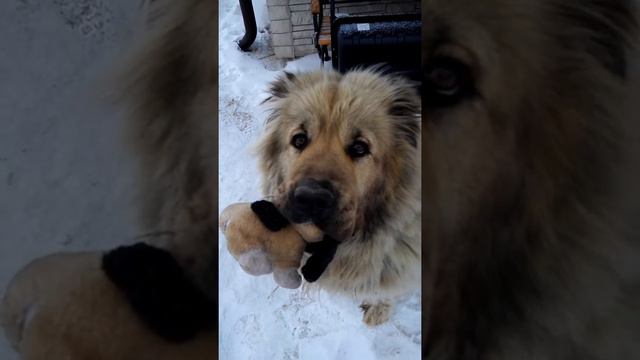 Заботливая мама