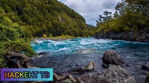 ТУЛКИ-ДУНЪЯЛИС СЕН ЮЛДАШЛИРИ