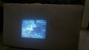 Indiana Jones "Raiders of the Lost Ark" on 16mm film screened with Elmo 16CL projector in Indonesia