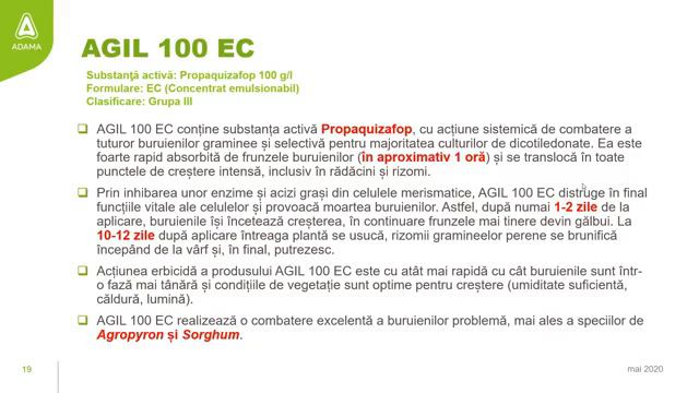 Sfatul specialistului смотреть онлайн