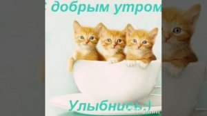 Песня чтобы проснуться