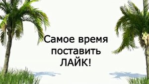 Движения ИРАКИ (Каулия). Прыжок на 2 ногах. Iraqi Style Basics