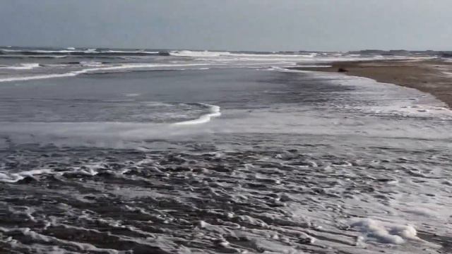 Охотское мореморе - п. Стародубское (о. Сахалин)