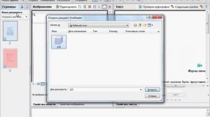 Работа с документом в ABBYY FineReader 10. Часть 1 (11/39)