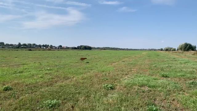 Ума (кормящая мать), видимая смотреть онлайн