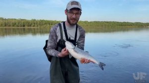 ОГРОМНЫЙ ГОЛАВЛЬ на ТЕИЛ-СПИННЕР HURRICANE