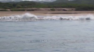 Snook Mafia & Puerto Vallarta  , Testing 40LB Spectra Extreme Braid