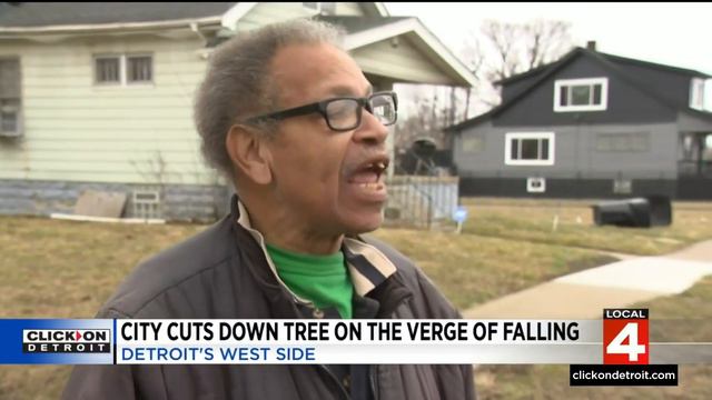 City cuts down tree on verge of falling on Detroit's west side смотреть онлайн