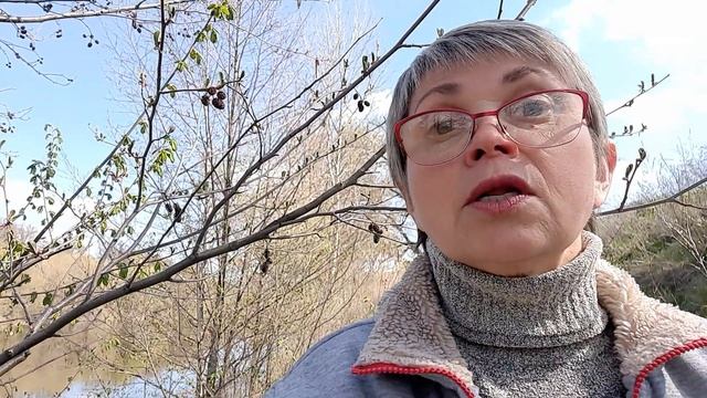 Очень_трогательное_стихотворение