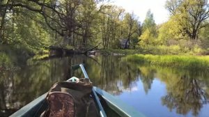 Болотоход и Мефодий Пуля
