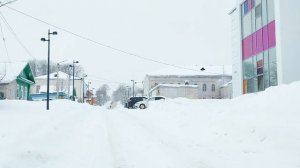 Прогулка в снегопад. Дикие утки зимуют в городе. Валдай зимой. Valday