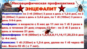 Клещи! Как Вам Врут! 100% Защита от клещей. Клещ укусил Как Выжить. Как вытащить клеща Вся Правда