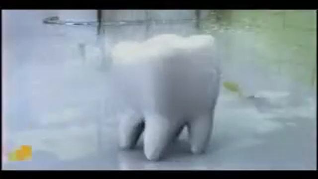 Жевательная резинка –польза или вред