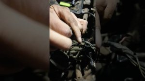Как вытащить пины из тойотовской фишки.