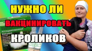 Нужно ли вакцинировать кроликов. Почему гибнут кролики.