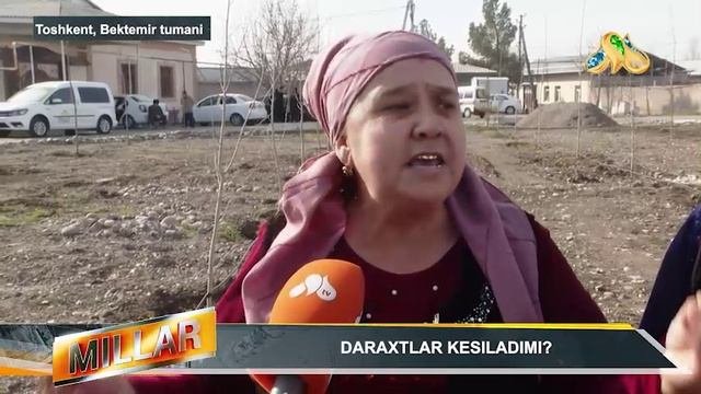 DARAXTLAR KESILADIMI
