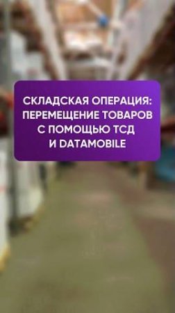 Перемещение товара между ячейками на адресном складе с ПО DataMobile