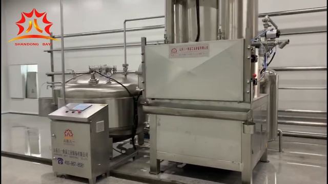 Vacuum Fried Vegetable Chips fryer Manufacturer смотреть онлайн