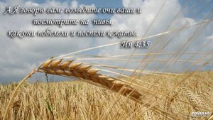 Господь,останься Ты со мной(старые,оцифровка) песнь возрождения