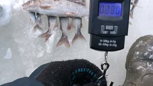 Рыбалка на реке Велью . глухозимье в разгаре 12 февраля 2023