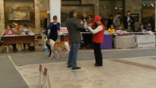 Наша первая выставка смотреть онлайн