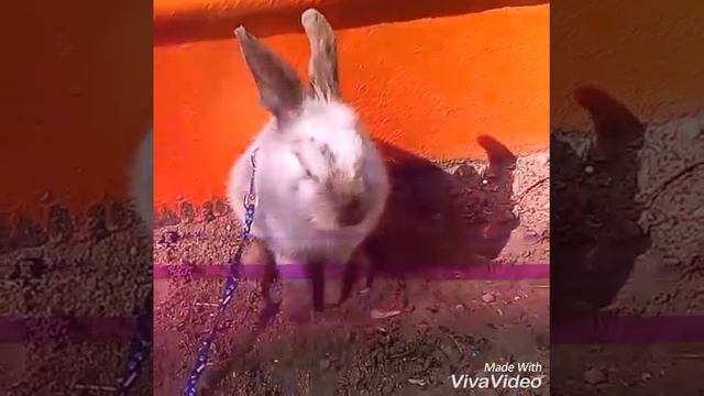 Что делает Марк на улице| смотреть онлайн