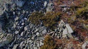 Хребет Большая Сука. гора Каменный гребень.