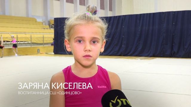 Художники гимнастика
