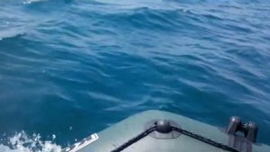 Parsun 3.6+лодка колибри КМ280, дно надувное аирдек