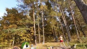 Заброс веревки на высоту 10 м для вертикальной Uda-Yagi