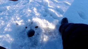 Ловля щуки, окуня на Жерлицы и Мормышку 2023 зимой со льда