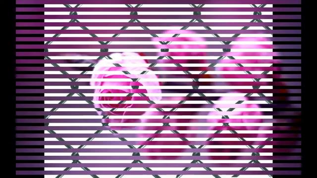 клип Стар против сил зла хей детка я теперь брюнетка смотреть онлайн