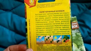 Салат КОЧАННЫЙ "КОЛОБОК" Мой САМЫЙ САМЫЙ ЛЮБИМЫЙ СОРТ!!!. 22.02.2020г.