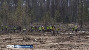 «Вологодские лесопромышленники» присоединились к акции «День посадки леса»