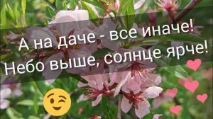 А на даче - всё иначе :)