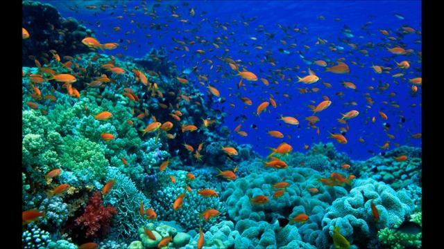 Аудиобиблия. Деяния святых апостолов. Глава 9 смотреть онлайн