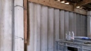 Вес кролика в 1 месяц, полтавское серебро.