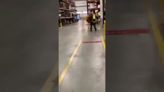 Polar plunge(3) смотреть онлайн