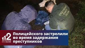 Полицейского застрелили во время задержания преступников