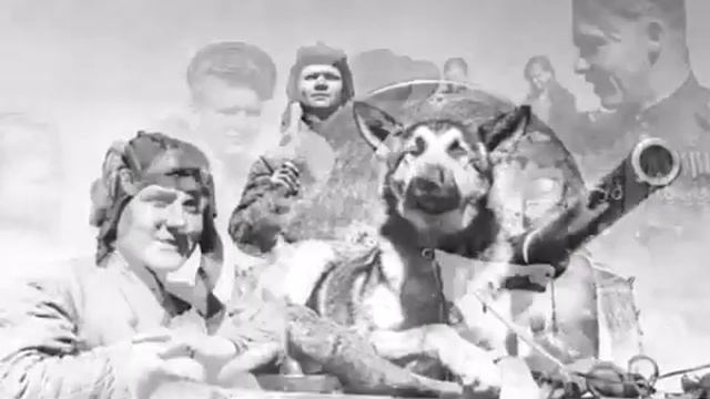 Рыжих Вера стих.mp4 смотреть онлайн