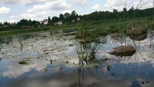 Оредеж река